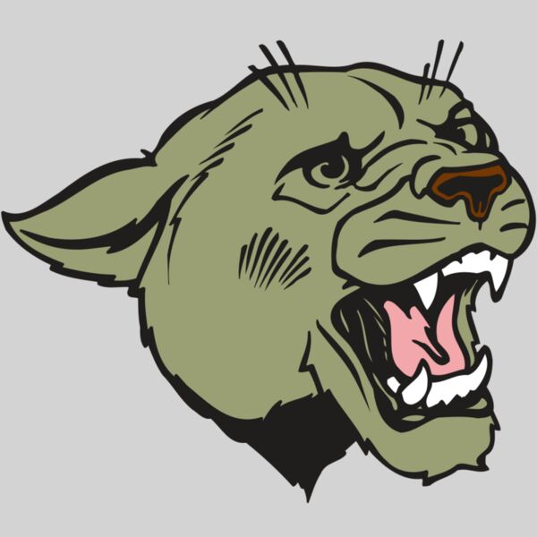 AR COUGAR 40 RC Thumbnail