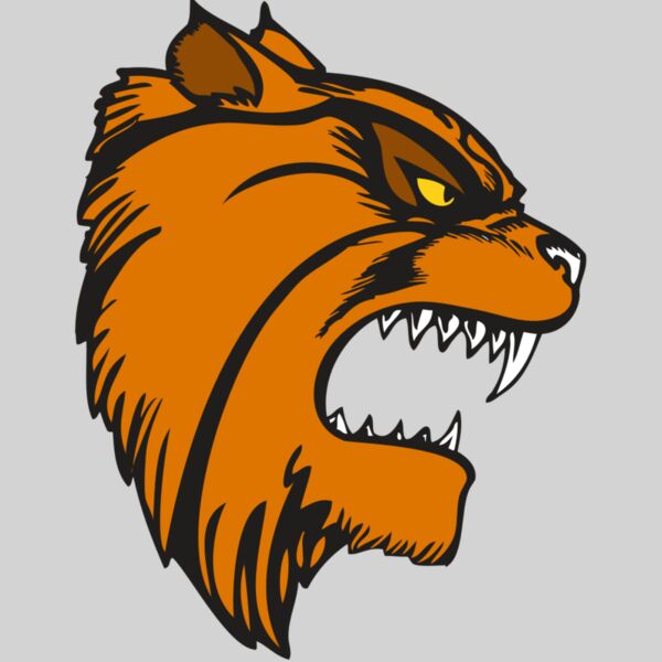 BAW WILDCAT 08 RC Thumbnail