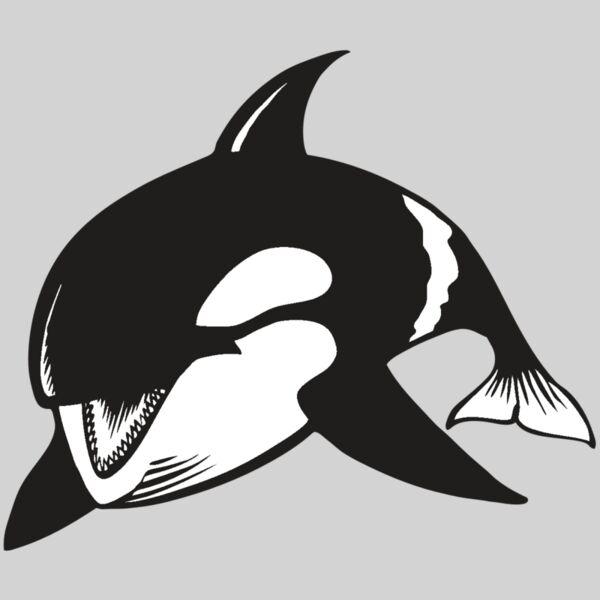 BAW KLRWHALE 04 RC Thumbnail