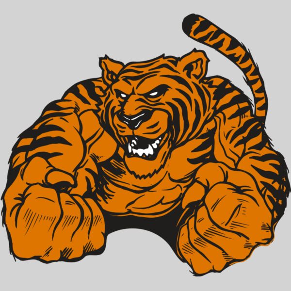 AR TIGER 55 RC Thumbnail