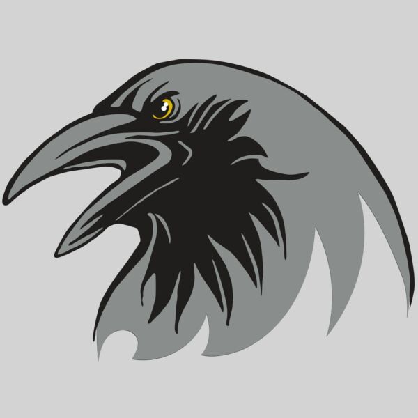 AR31 RAVEN 02 RQC Thumbnail