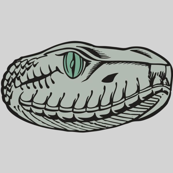 BAW SNAKE 10 RC Thumbnail