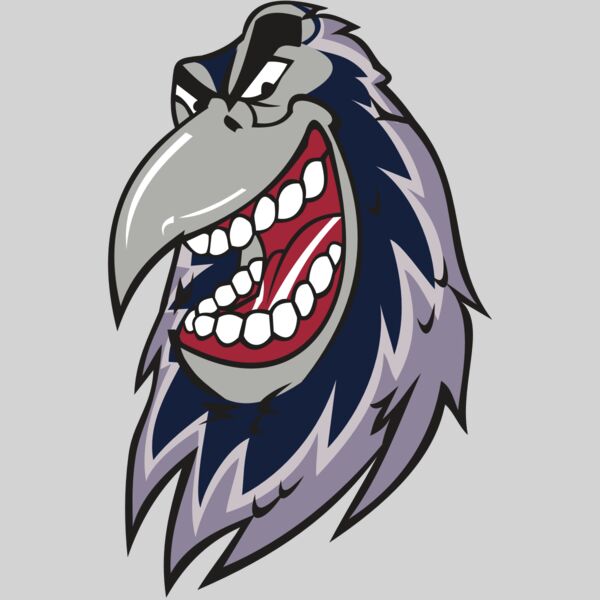 RAVEN HD0503 RQC Thumbnail