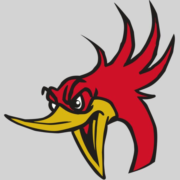 AR31 ROADRUNNER 02 RQC Thumbnail