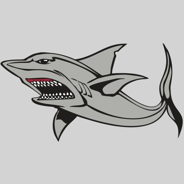 BAW SHARK 03 RC Thumbnail