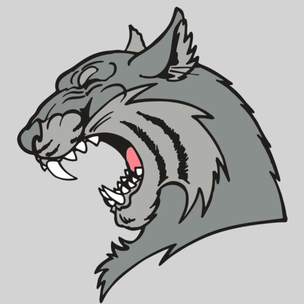 AR WILDCAT 41 RC Thumbnail