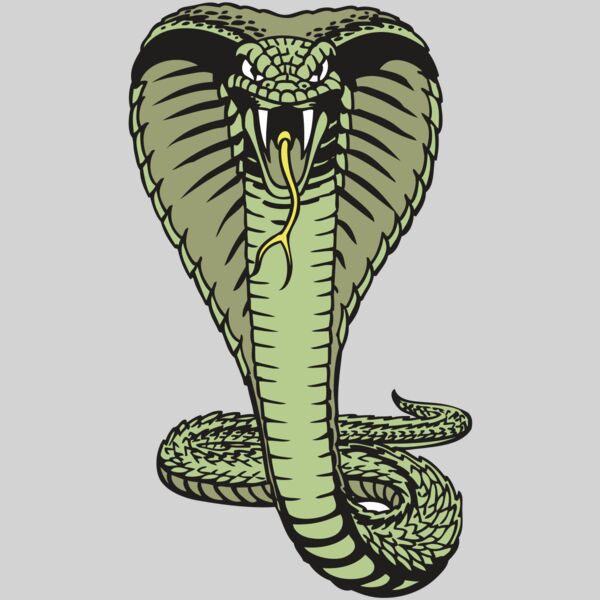 BAW SNAKE 15 RC Thumbnail