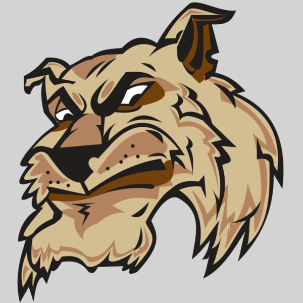 WILDCAT HD0501 RQC Thumbnail