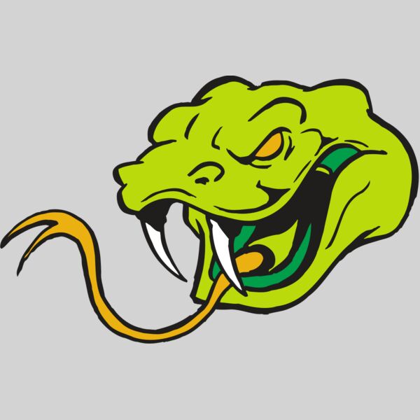 AR SNAKE 11 RC Thumbnail