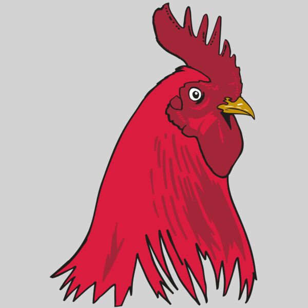 AR OTHER 19 RC Thumbnail