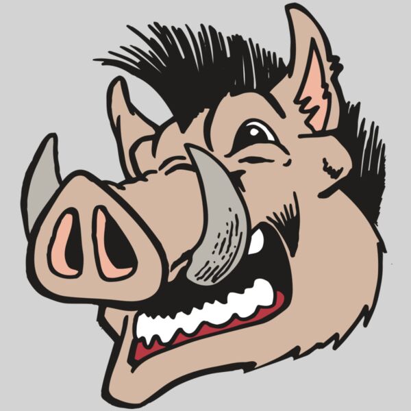 AR RAZORBACK 18 RC Thumbnail