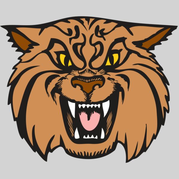 BAW WILDCAT 04 RC Thumbnail