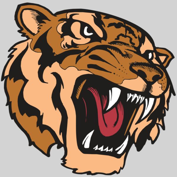 BAW TIGER 07 RC Thumbnail