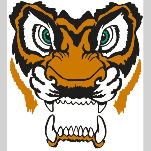 AR TIGER 11 RC Thumbnail