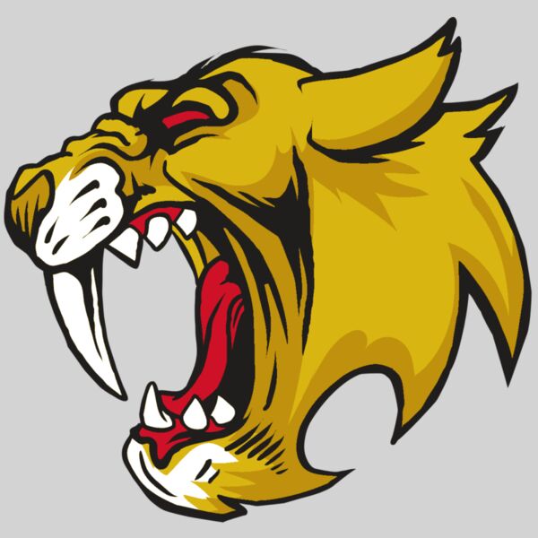 AR30 SABER 04 RQC Thumbnail