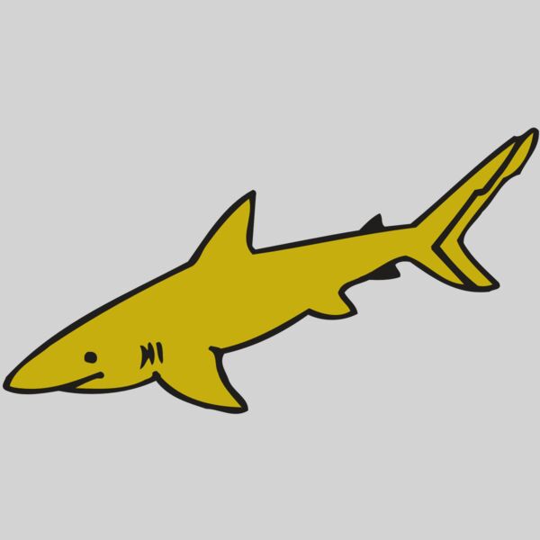 AR  SHARK 31 RC Thumbnail