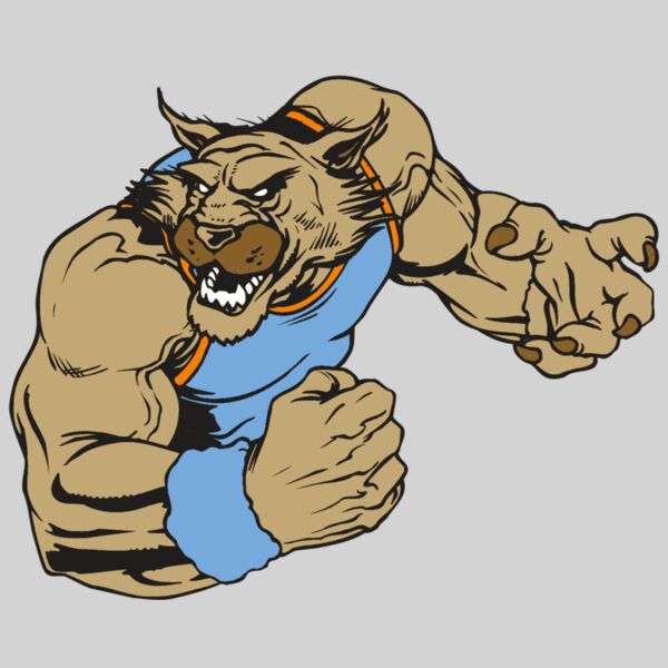 AR WILDCAT 46 RC Thumbnail