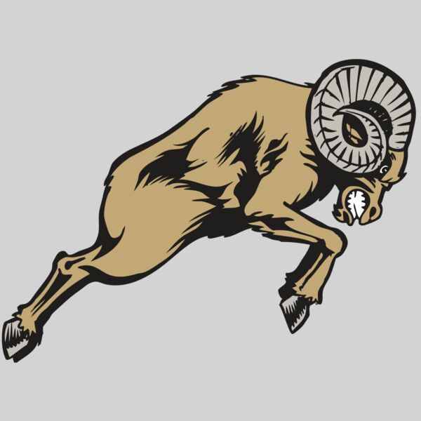 BAW RAM 04 RC Thumbnail