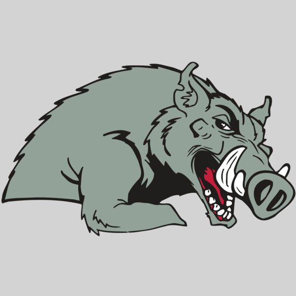 AR RAZORBACK 14 RC Thumbnail