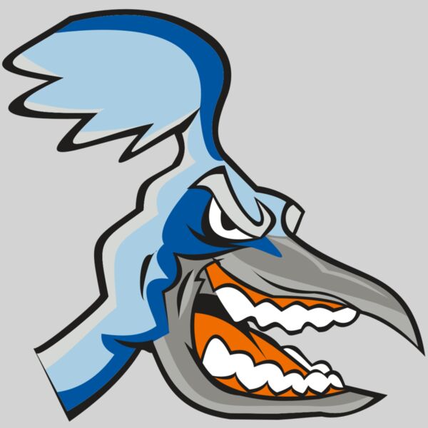 ROADRUNNER HD0504 RQC Thumbnail