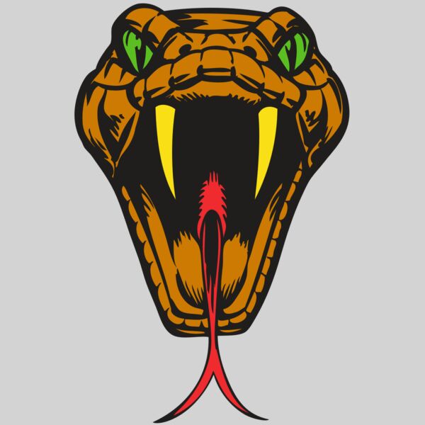 BAW SNAKE 05 RC Thumbnail