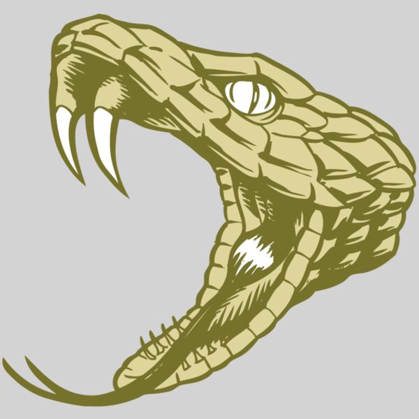 BAW SNAKE 11 RC Thumbnail