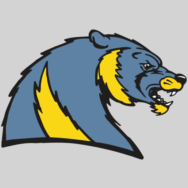 AR5 Wolverine 20 RQC Thumbnail