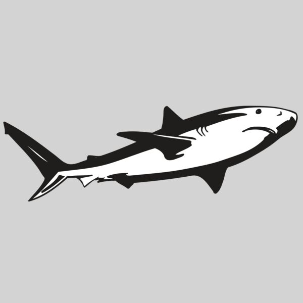 AR5 Shark 15 RQC Thumbnail