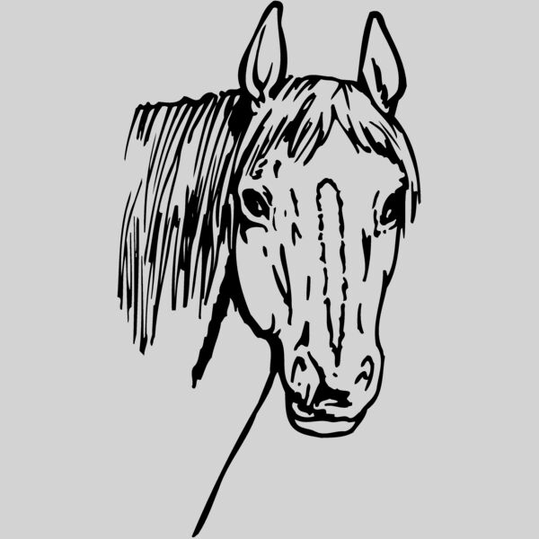 HORSE003 Thumbnail
