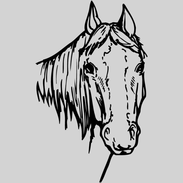 HORSE004 Thumbnail