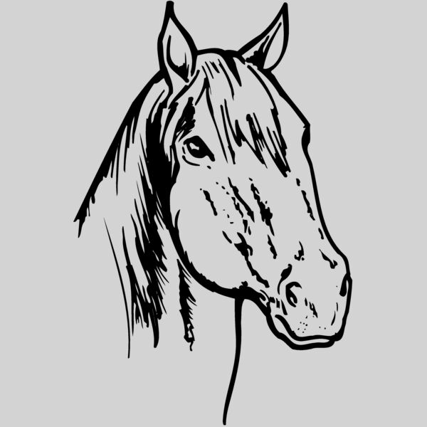 HORSE011 Thumbnail