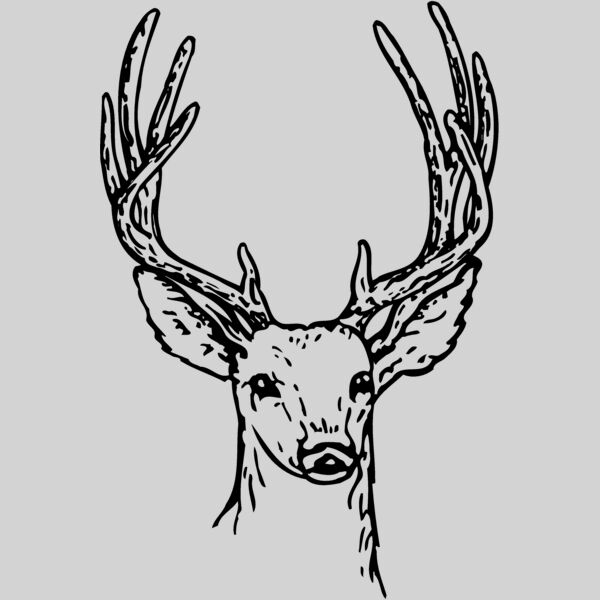 DEER011 Thumbnail