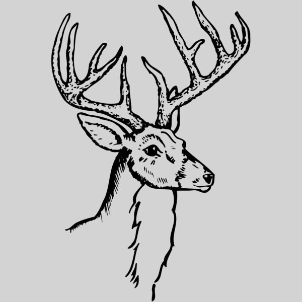 DEER017 Thumbnail