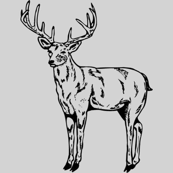 DEER021 Thumbnail