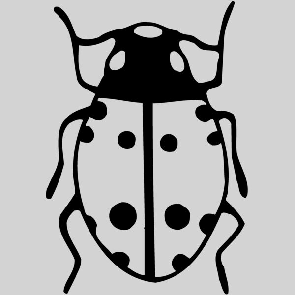 BEETLE03 Thumbnail