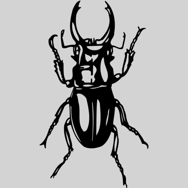 EARWIG Thumbnail