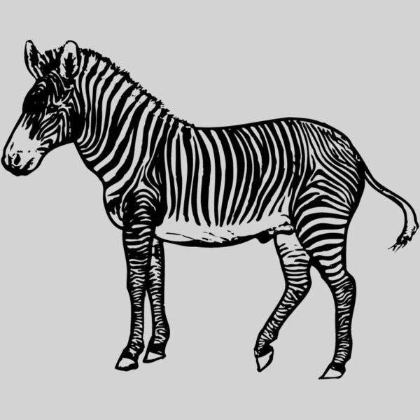 ZEBRA003 Thumbnail