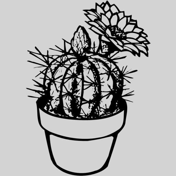 CACTUS01 Thumbnail