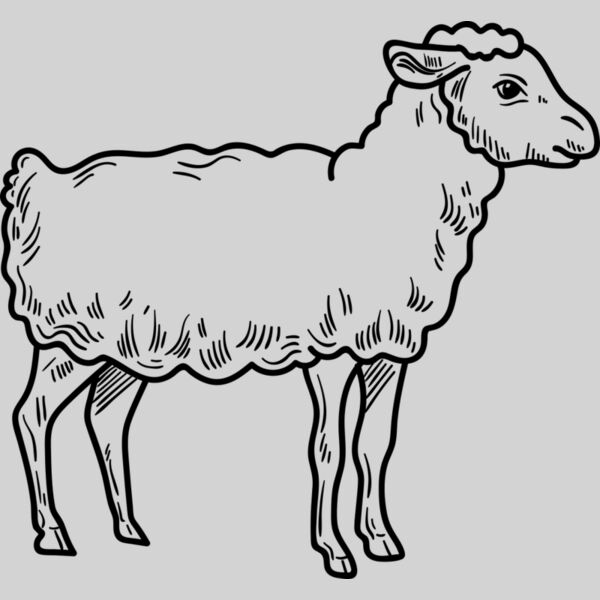 Lamb   Clipart 3 Thumbnail