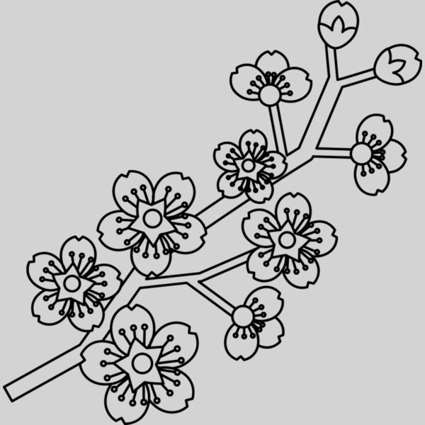 Cherry Blossom Branch Thumbnail