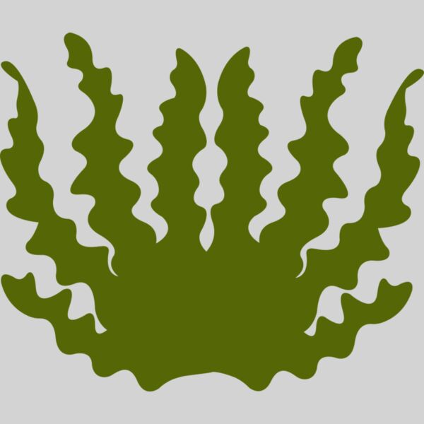 Sea Plant 2 Thumbnail