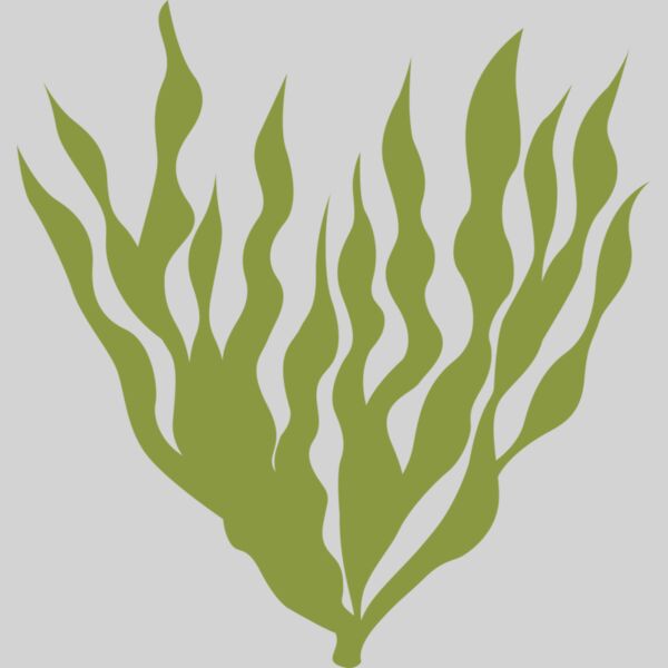 Sea Plants 5 Thumbnail