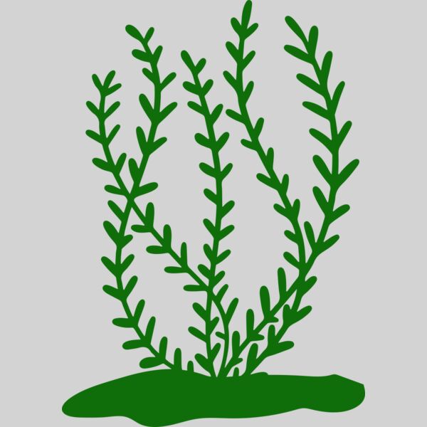 Sea Plants 3 Thumbnail