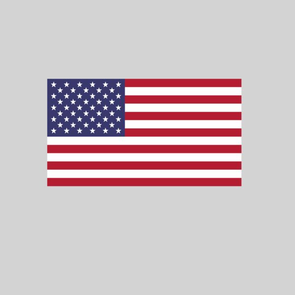 USA Flag Thumbnail