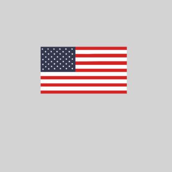 US Flag Thumbnail