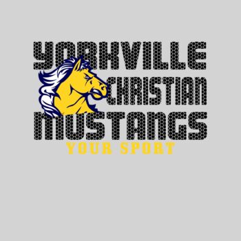 Yorkville Christian Honeycomb Thumbnail