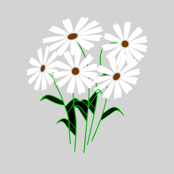 Daisies Thumbnail