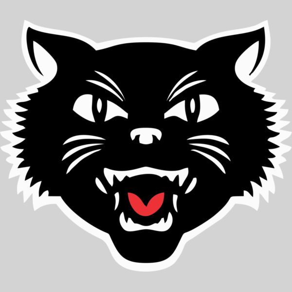 Tomcat Head Thumbnail