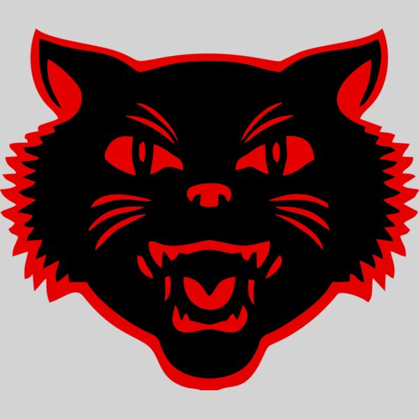 East Aurora Tomcat Thumbnail