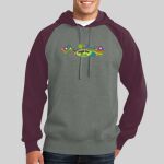 Copy of Raglan Colorblock Pullover Hooded Sweatshirt Thumbnail